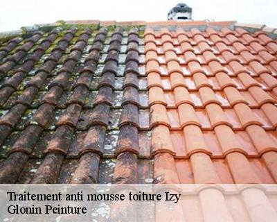 Traitement anti mousse toiture  45480