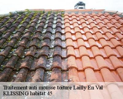 Traitement anti mousse toiture  lailly-en-val-45740 KLISSING habitat 45