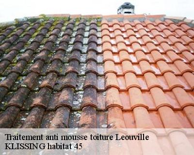 Traitement anti mousse toiture leouville-45480 KLISSING habitat 45