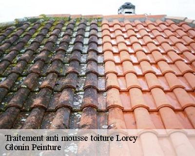 Traitement anti mousse toiture  45490