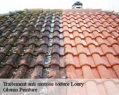 Traitement anti mousse toiture  45470