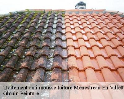 Traitement anti mousse toiture  45240