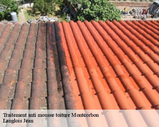 Traitement anti mousse toiture  montcorbon-45220 SB Rénovation
