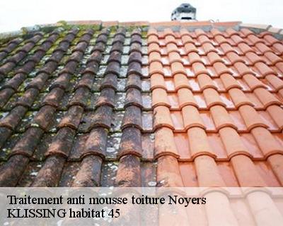 Traitement anti mousse toiture  noyers-45260 Langlois Jean