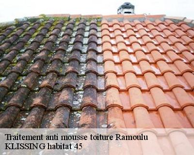 Traitement anti mousse toiture ramoulu-45300 KLISSING habitat 45