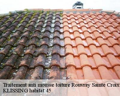 Traitement anti mousse toiture rouvray-sainte-croix-45310 KLISSING habitat 45