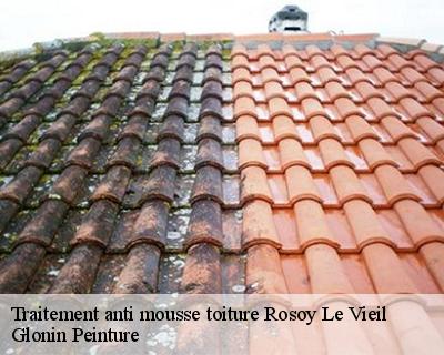 Traitement anti mousse toiture  45210