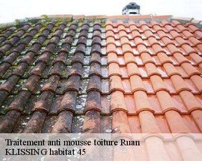 Traitement anti mousse toiture ruan-45410 KLISSING habitat 45