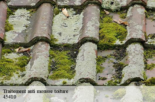 Traitement anti mousse toiture 45410
