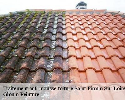Traitement anti mousse toiture  45360