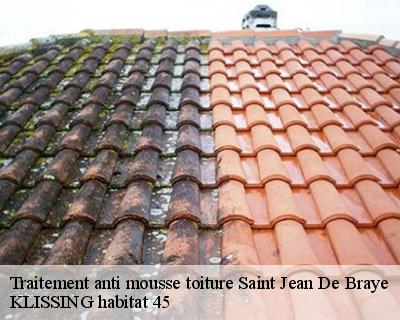 Traitement anti mousse toiture saint-jean-de-braye-45800 KLISSING habitat 45