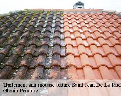Traitement anti mousse toiture  45140