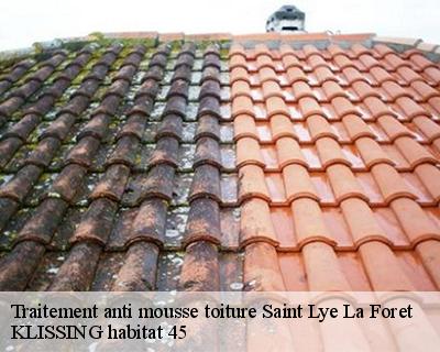 Traitement anti mousse toiture saint-lye-la-foret-45170 KLISSING habitat 45