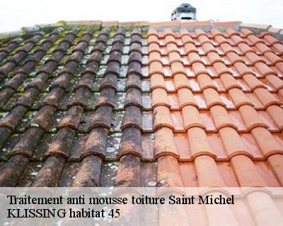 Traitement anti mousse toiture saint-michel-45340 KLISSING habitat 45