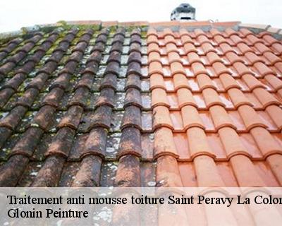 Traitement anti mousse toiture  45310