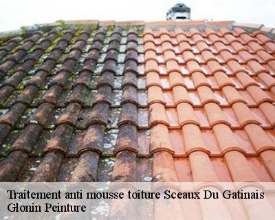 Traitement anti mousse toiture  45490