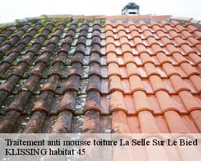 Traitement anti mousse toiture la-selle-sur-le-bied-45210 KLISSING habitat 45
