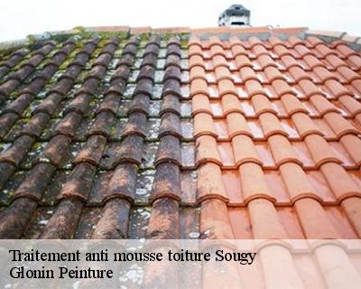 Traitement anti mousse toiture  45410
