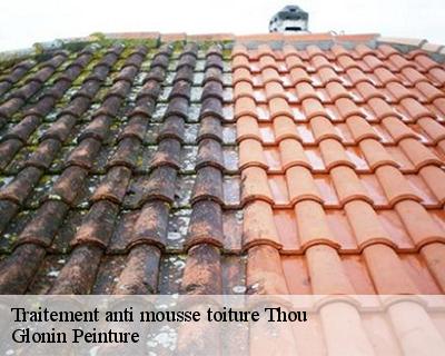 Traitement anti mousse toiture  45420