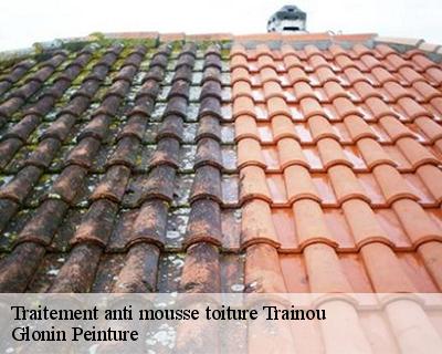 Traitement anti mousse toiture  45470