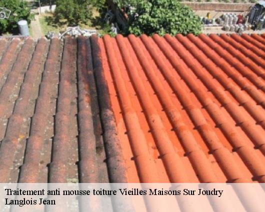 Traitement anti mousse toiture  vieilles-maisons-sur-joudry-45260 Langlois Jean