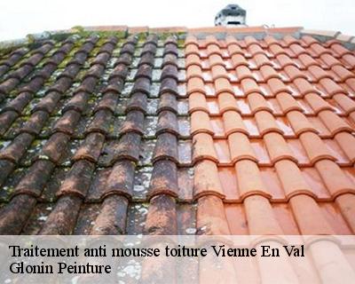 Traitement anti mousse toiture  45510