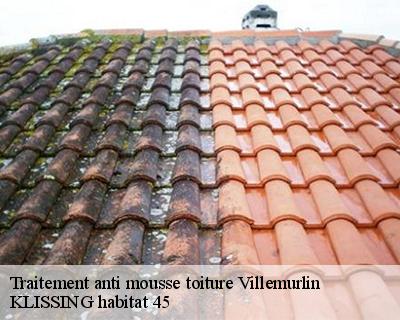 Traitement anti mousse toiture  villemurlin-45600 Langlois Jean