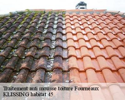 Traitement anti mousse toiture fourneaux-45380 KLISSING habitat 45