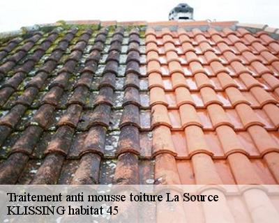 Traitement anti mousse toiture  la-source-45100 KLISSING habitat 45
