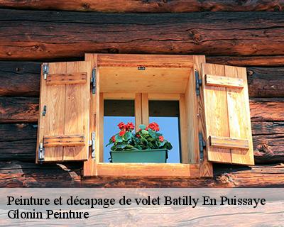 Peinture et décapage de volet  45420