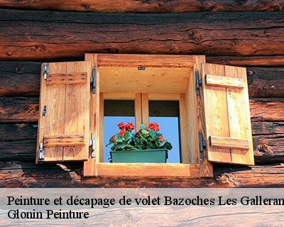 Peinture et décapage de volet  45480