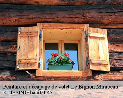 Peinture et décapage de volet le-bignon-mirabeau-45210 KLISSING habitat 45