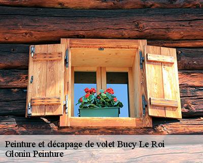 Peinture et décapage de volet  45410