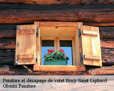 Peinture et décapage de volet  45140
