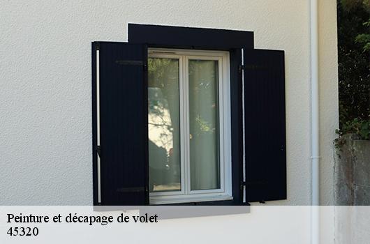 Peinture et décapage de volet  45320