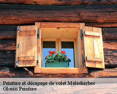 Peinture et décapage de volet  45330