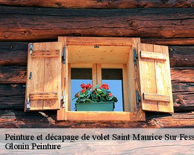 Peinture et décapage de volet  45700