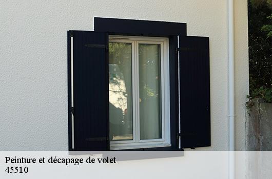 Peinture et décapage de volet 45510