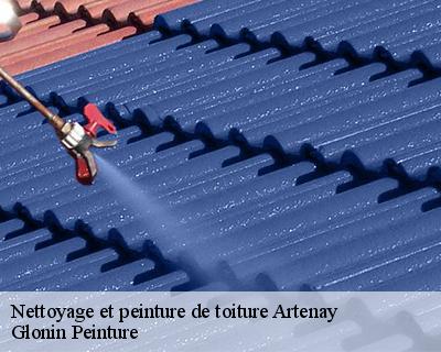 Nettoyage et peinture de toiture  45410