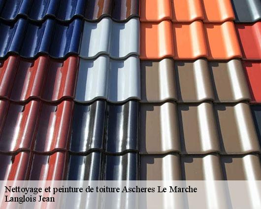 Nettoyage et peinture de toiture  ascheres-le-marche-45170 Langlois Jean
