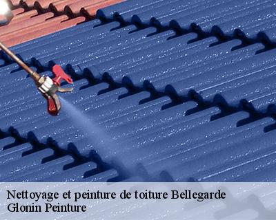 Nettoyage et peinture de toiture  45270