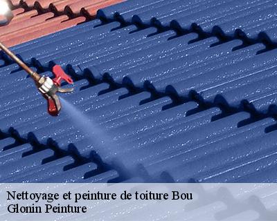 Nettoyage et peinture de toiture  45430