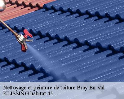 Nettoyage et peinture de toiture bray-en-val-45460 KLISSING habitat 45