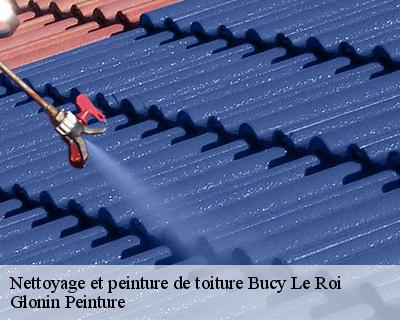 Nettoyage et peinture de toiture  45410