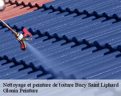 Nettoyage et peinture de toiture  45140