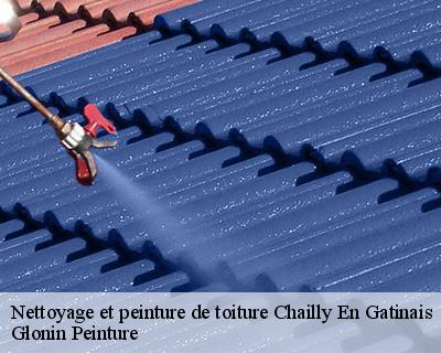 Nettoyage et peinture de toiture  45260
