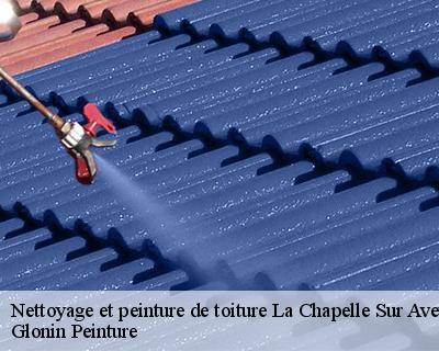 Nettoyage et peinture de toiture  45230