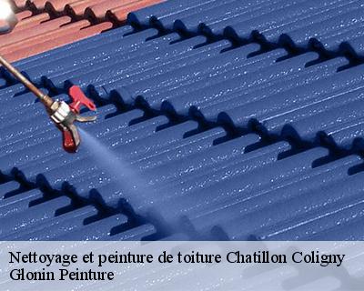 Nettoyage et peinture de toiture  45230