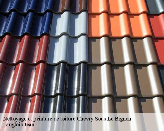 Nettoyage et peinture de toiture  chevry-sous-le-bignon-45210 Langlois Jean