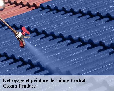 Nettoyage et peinture de toiture  45700